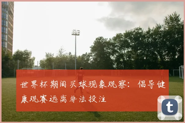 世界杯期间买球现象观察：倡导健康观赛远离非法投注