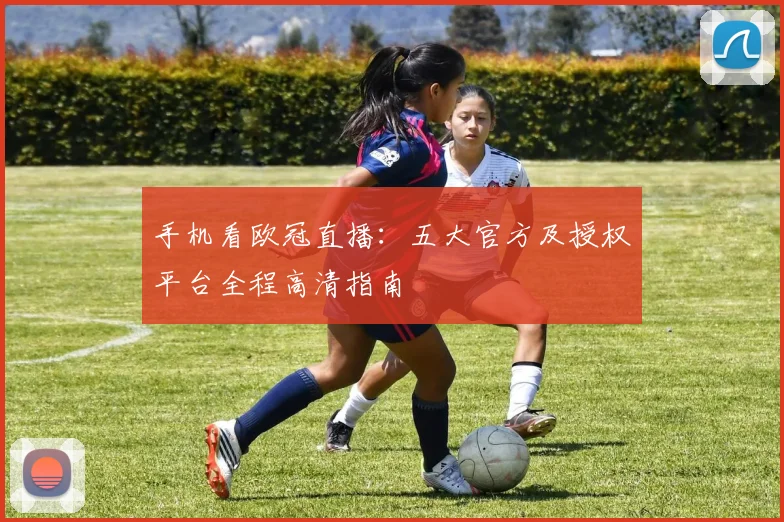 手机看欧冠直播：五大官方及授权平台全程高清指南