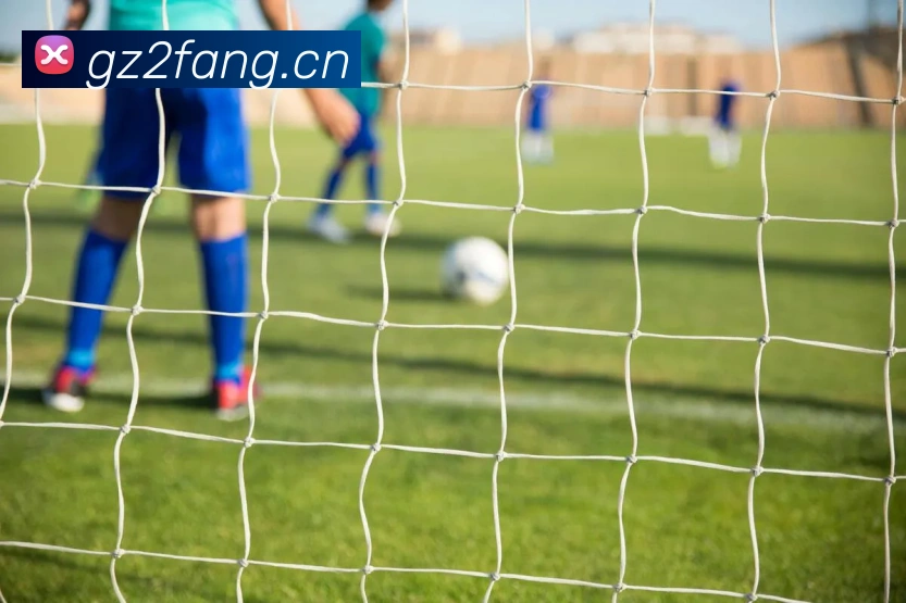 开云官方登录平台生态图